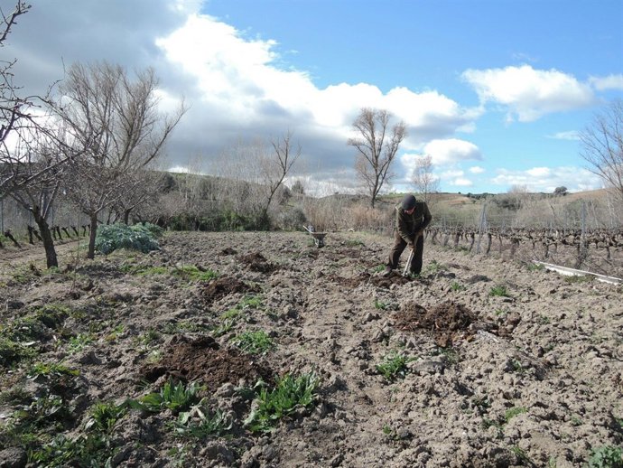 Treballador agrari