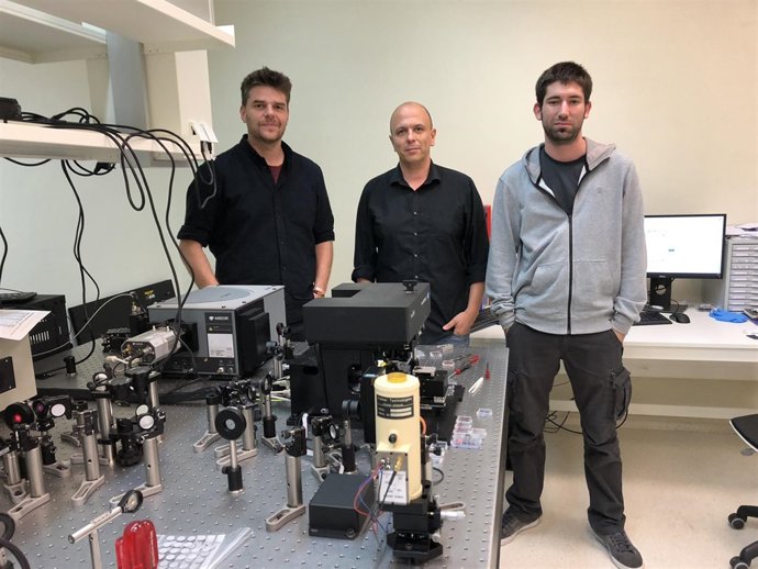 Investigadores de la Universidad de Oviedo