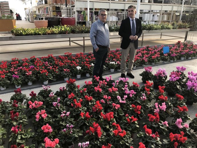 Del Amor durante la visita un invernaderos de flores cortadas y plantas ¡