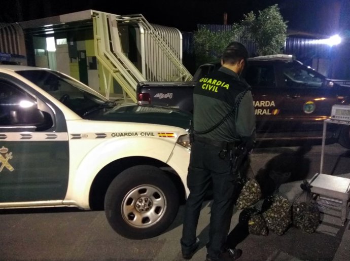 Almeja furtiva interceptada en Poio (Pontevedra)