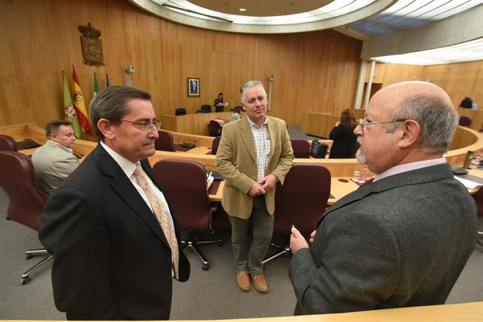 Pleno de la Diputación de Granada