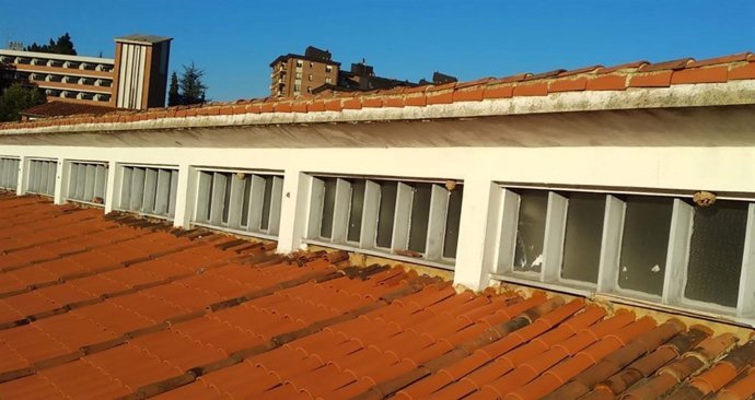 NIDOS DE AVISPA ASIÁTICA EN OVIEDO