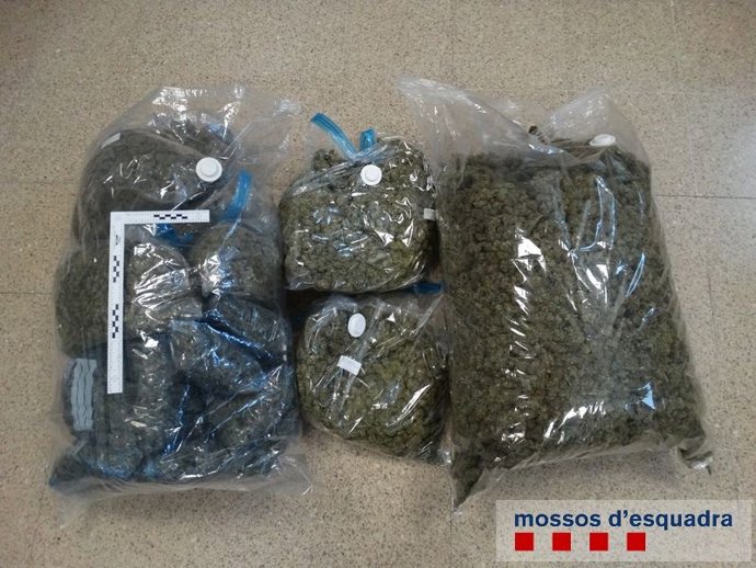 Bolsas con marihuana intervenidas por los Mossos en Figueres (Girona)