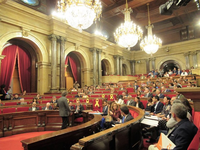Ple del Parlament