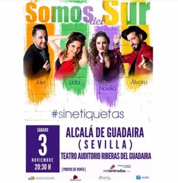 Cartel del concierto del grupo  'Somos del Sur'. 