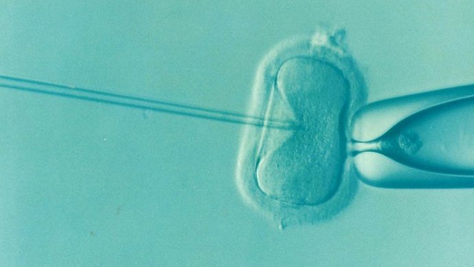 Fecundació in vitro