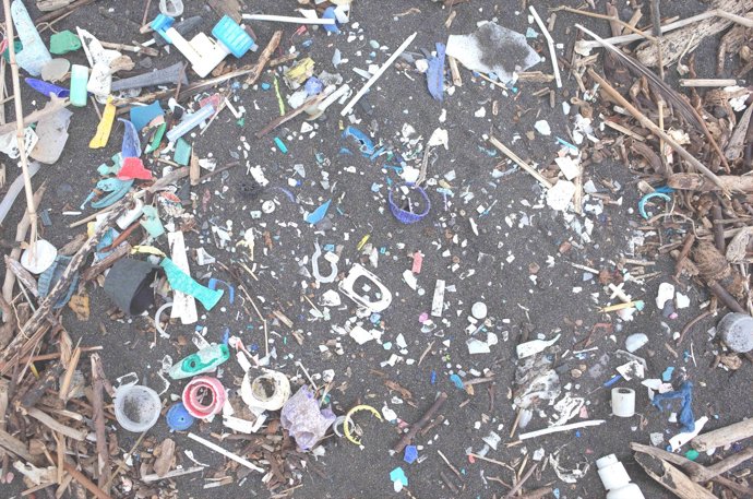 Desechos plásticos en la costa de la isla de Santa Elena                    