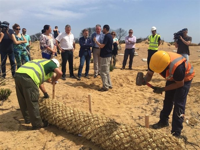 Visita a Cuesta Maneli en junio a la zona afectada por incendio Doñana. 
