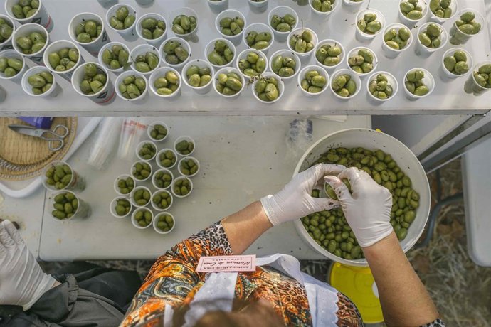 Feria Todos Sants de Cocentaina