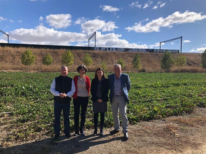 Dujo, Santos, Rosique y González, de izda a dcha. 