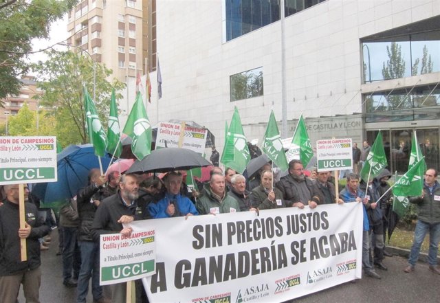 Protesta de ganaderos de ovino ante la Consejería de Agricultura