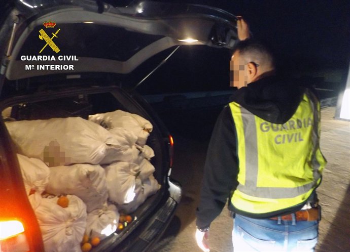 Agente con mandarinas robadas