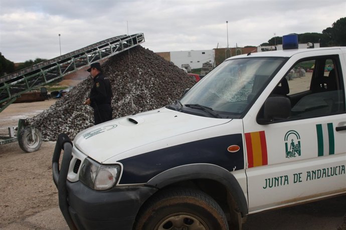 Foto de archivo de un acopio de piña. 