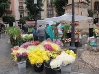 Los productores de flores encaran con pesimismo la festividad de Todos los Santos, según UPA