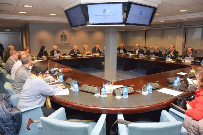 Reunión del Pleno del Consejo General de Enfermería