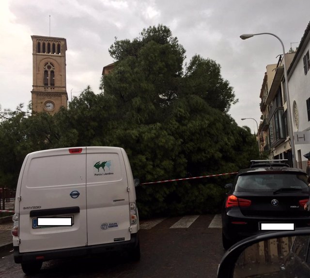 El 112 registra 55 incidentes en Baleares relacionados con las lluvias