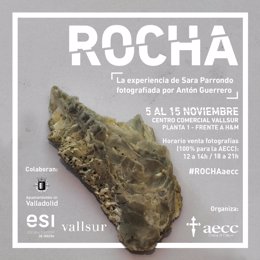 Cartel de la exposición 'Rocha'.