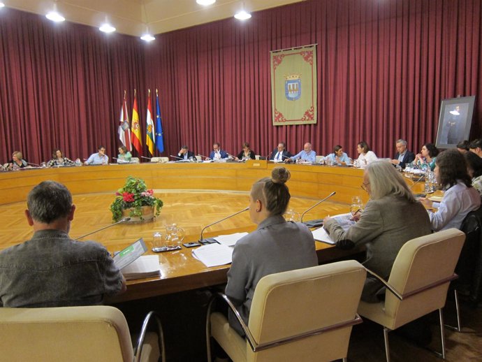                                Pleno Del Ayuntamiento De Logroño