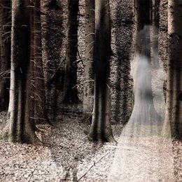 Fantasma, bosque, Día de Todos los Santos