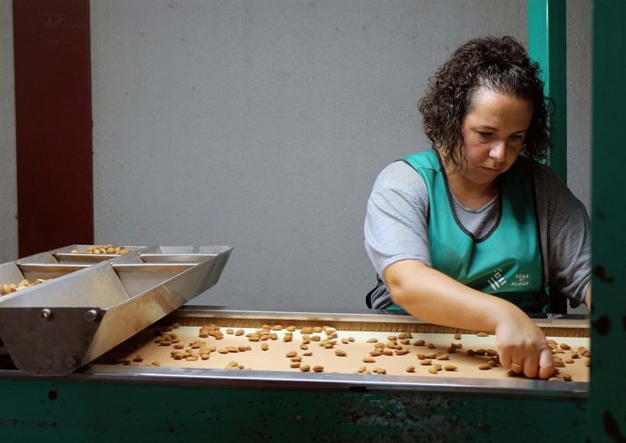 Trabajadora de almendra