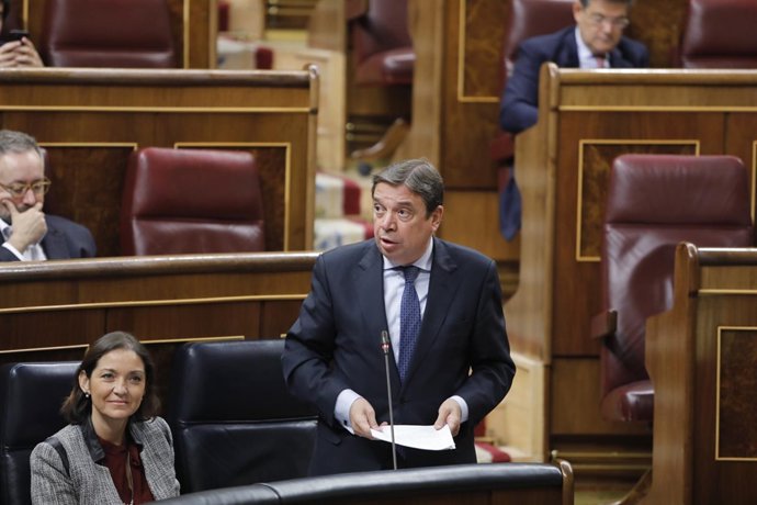 Sesión de control al Gobierno en el Congreso