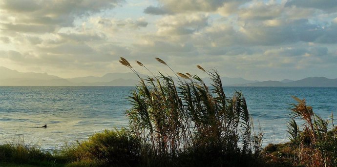 Playa, río, espacio acuático