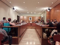 Los servicios xurídicos del Conceyu d'Avilés afirmen que nun se puen aprobar unes ordenances d'asturianu