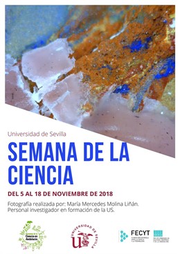 Cartel de la Semana de la Ciencia de la Universidad de Sevilla