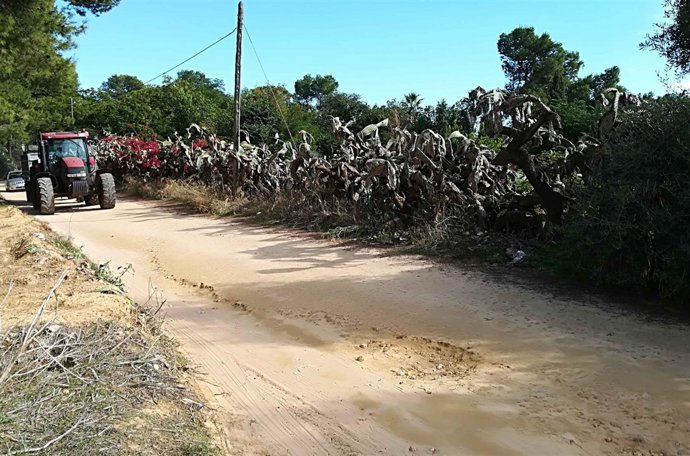 Camino del zoológico