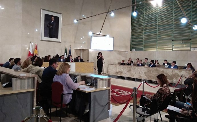 Pleno del Ayuntamiento de Almería