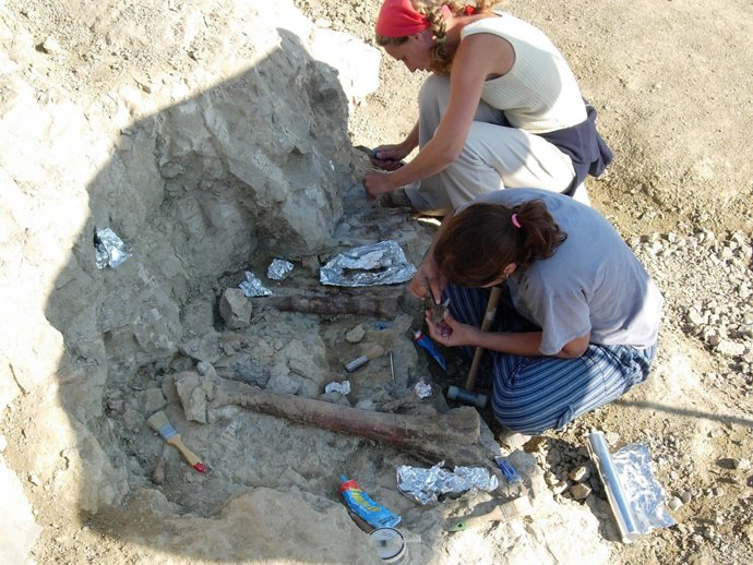 La campanya d'excavació al jaciment de Lleida