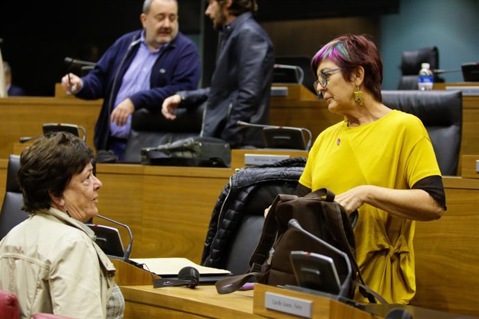 Tere Sáez en el pleno.