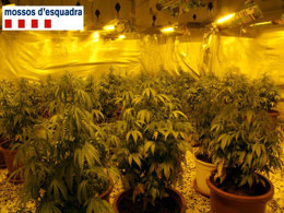 Agencia Catalana de Noticias