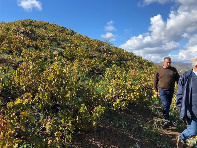 Moclinejo viñedos bodegas dimobe expertos vehiculos no tripulados Agridone