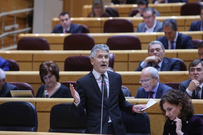 Fernando Grande-Marlaska 
