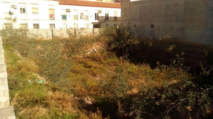 Solar plaza de san pablo málaga capital donde junta proyecta 12 VPO alquiler