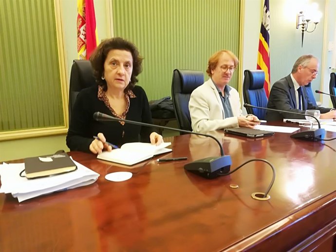 Fina Santiago en comisión en el Parlament