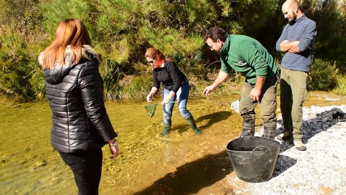 Suelta de alevines de trucha