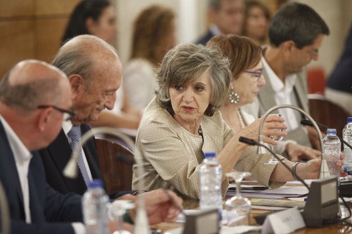 La ministra de Sanidad, María Luisa Carcedo, asiste al Pleno del Consejo Estatal