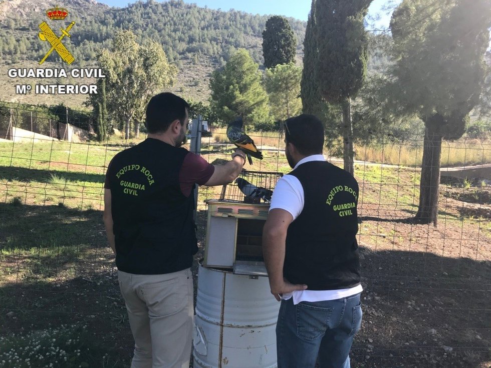 Guardia Civil: Remitiendo Nota De Prensa