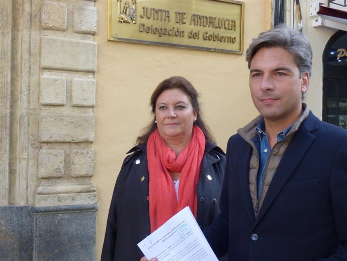 Moyano y Lorite ante la Delegación del Gobierno andaluz