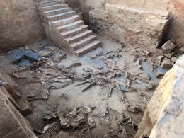 Esqueletos de animales sacrificados en el yacimiento tartésico de Guareña