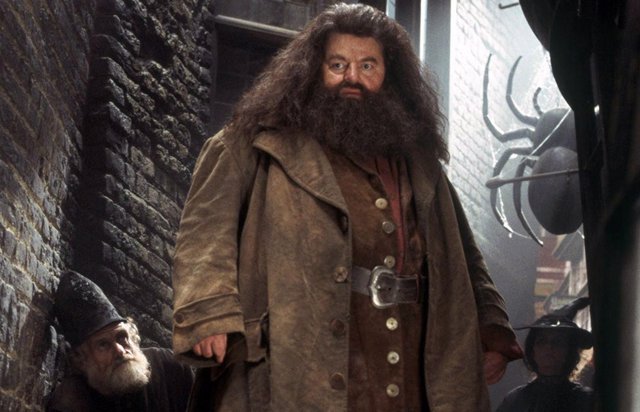 Hagrid en Harry Potter