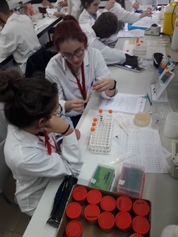 II Small World Initiative