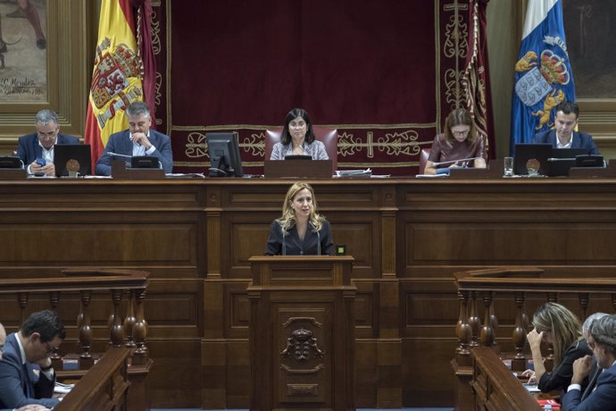 Rosa Dávila interviene en el Pleno del Parlamento