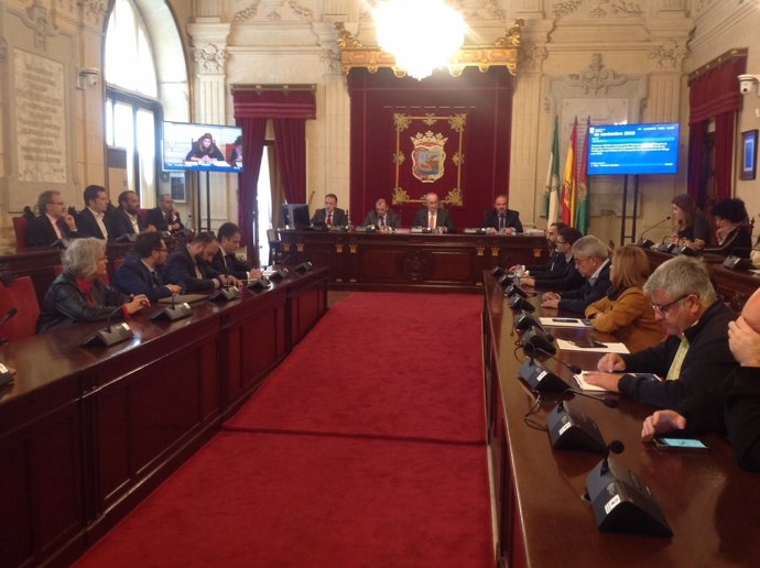 El pleno extraordinario en el Ayuntamiento de Málaga