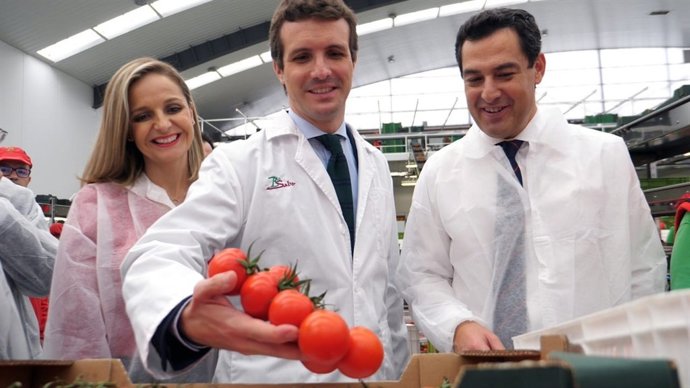 Maribel Sánchez, Pablo Casado y Juanma Moreno (PP)