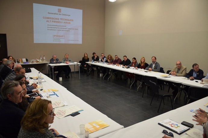 Reunión del Consejo Territorial de Salud Pública en el Alt Pirineu y Aran