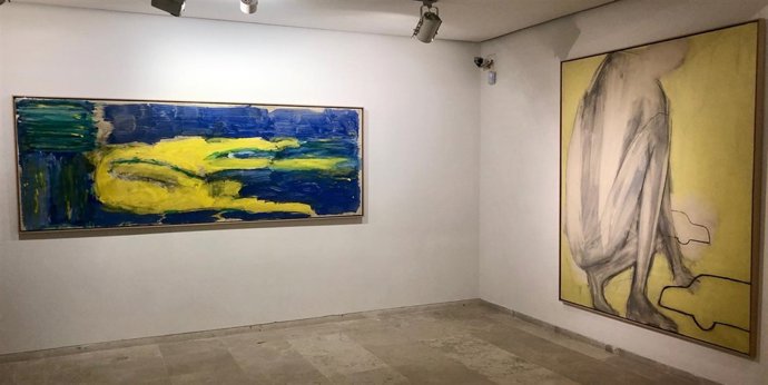 Valladolid.- Exposición de Fernando Sánchez Calderón en Herreriano 14-11-18