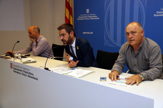 Agencia Catalana de Noticias